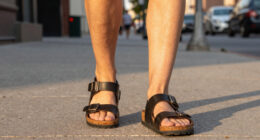 15 Best Birkenstock Sandals in 2026