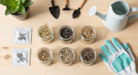 15 Best Flower Seeds in 2026