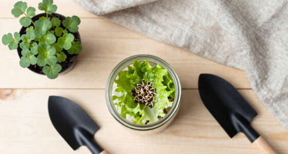 15 Best Lettuce Seeds in 2026