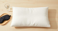 10 Best Wedge Pillows for Reflux in 2026