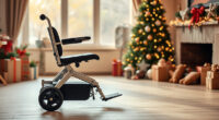 A Holiday Outing with the Drive Medical Silver Sport 1