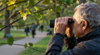 Birdwatching Rewires The Brain And Slows Cognitive Decline